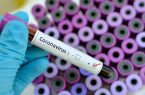 ۱۰ هزار و ۶۴۴ بیمار جدید مبتلا به کووید۱۹ در کشور شناسایی شد