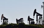 ادامه روند صعودی بهای نفت در بازار انرژی