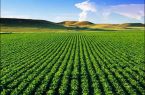 کاهش ۴۰ درصدی بارندگی اولین ماه سال زراعی جدید در مازندران