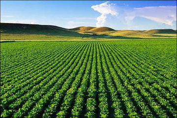 کاهش ۴۰ درصدی بارندگی اولین ماه سال زراعی جدید در مازندران