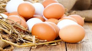 سالانه یک میلیون و ۲۰۰ هزار تن تخم مرغ در کشور تولید می شود