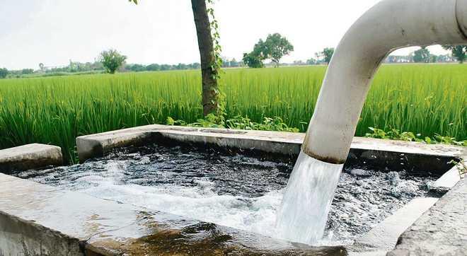 ۹۰ درصد آب کشور در بخش کشاورزی مصرف می شود