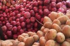 صادرات سیب‌زمینی، پیاز و گوجه فرنگی مشمول عوارض شد