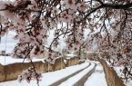هشدار سطح قرمز هواشناسی برای ۴ استان/احتمال صدمه به شکوفه‌ها و جوانه‌های درختان