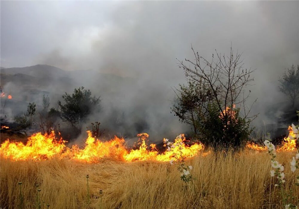 هشدار احتمال آتش‌سوزی‌ مراتع با وقوع دمای بالای ۴۹ درجه