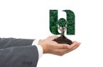 پویش کاشت ۷۲هزار درخت در یادمان ۷۲ سال خدمت بانک صادرات ایران