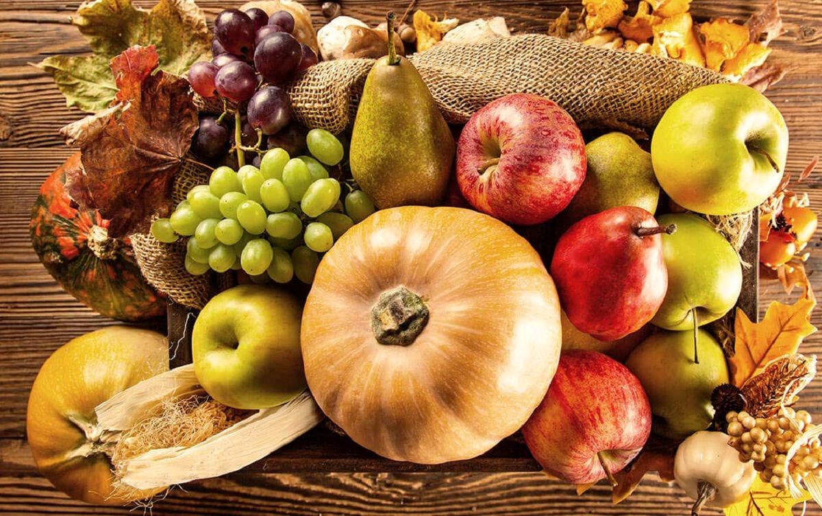 با فواید شگفت انگیز میوه های پاییزی آشنا شوید