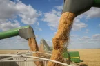 ترکیه در رتبه اول صادرات آرد گندم در جهان قرار گرفت